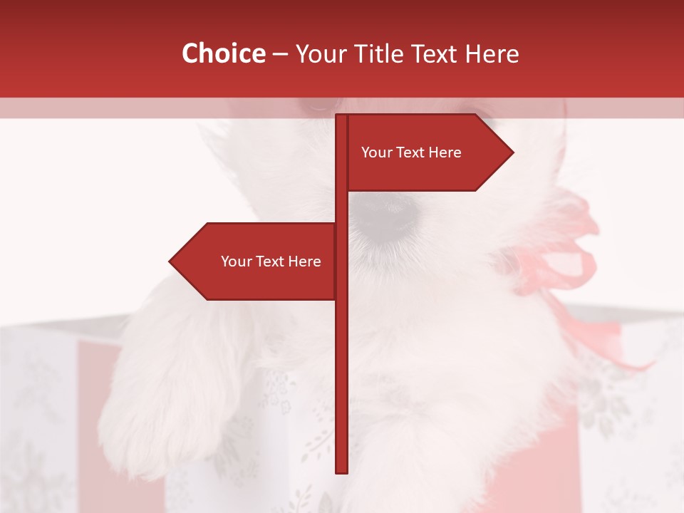 A Small White Dog Sitting Inside Of A Present Box PowerPoint Template