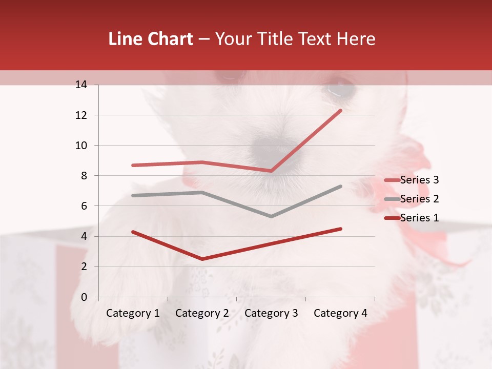 A Small White Dog Sitting Inside Of A Present Box PowerPoint Template