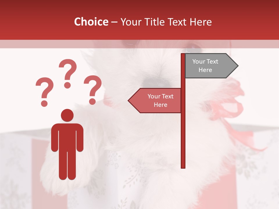 A Small White Dog Sitting Inside Of A Present Box PowerPoint Template