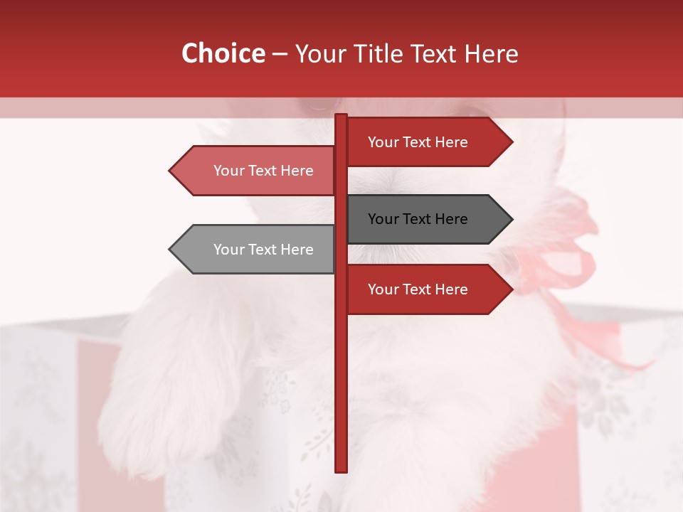 A Small White Dog Sitting Inside Of A Present Box PowerPoint Template