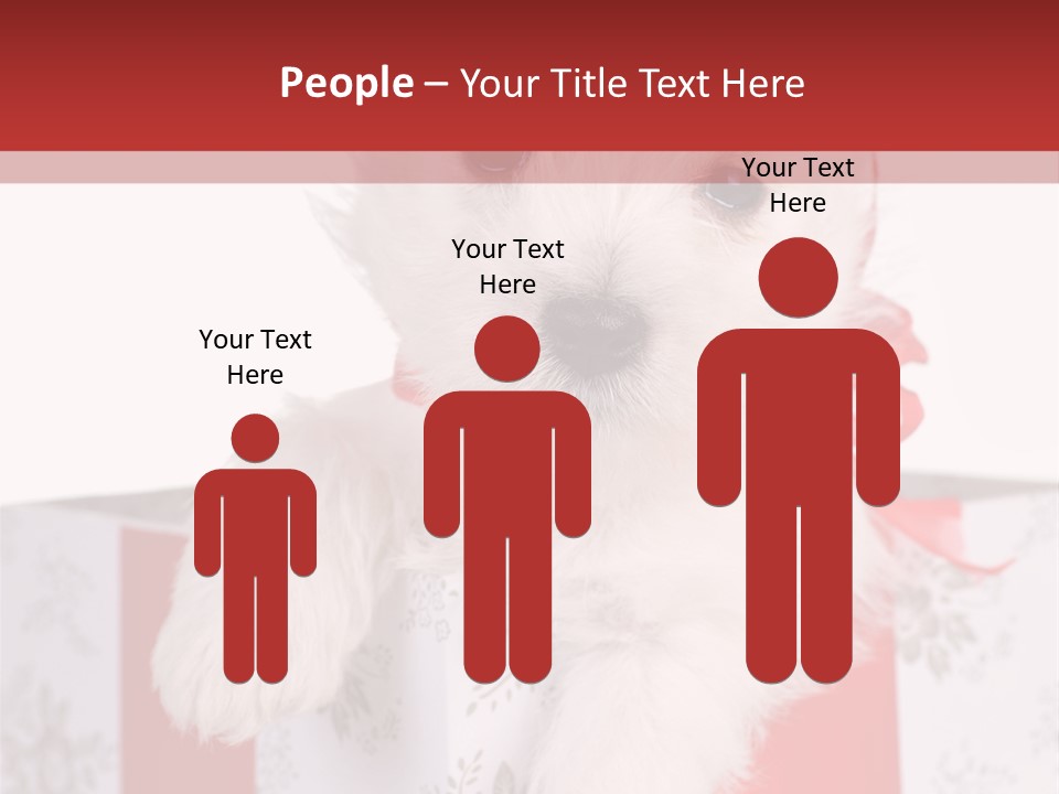 A Small White Dog Sitting Inside Of A Present Box PowerPoint Template