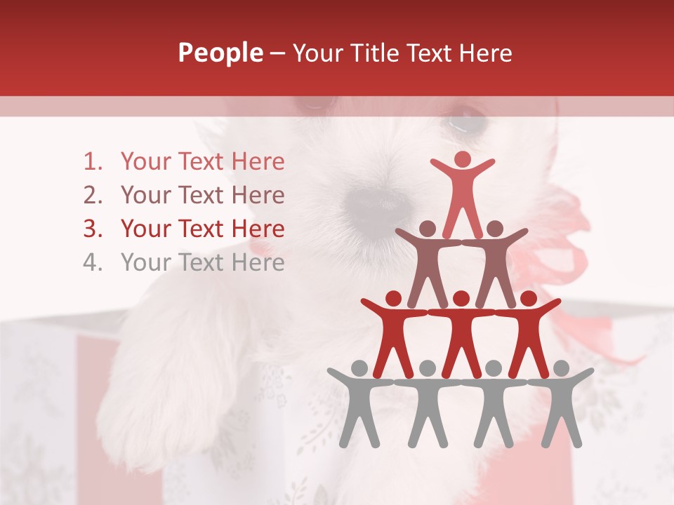 A Small White Dog Sitting Inside Of A Present Box PowerPoint Template