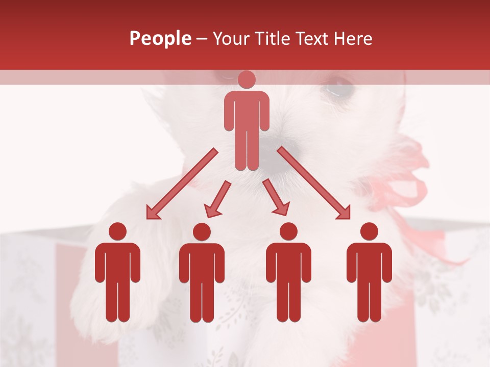 A Small White Dog Sitting Inside Of A Present Box PowerPoint Template