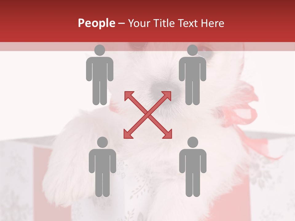 A Small White Dog Sitting Inside Of A Present Box PowerPoint Template