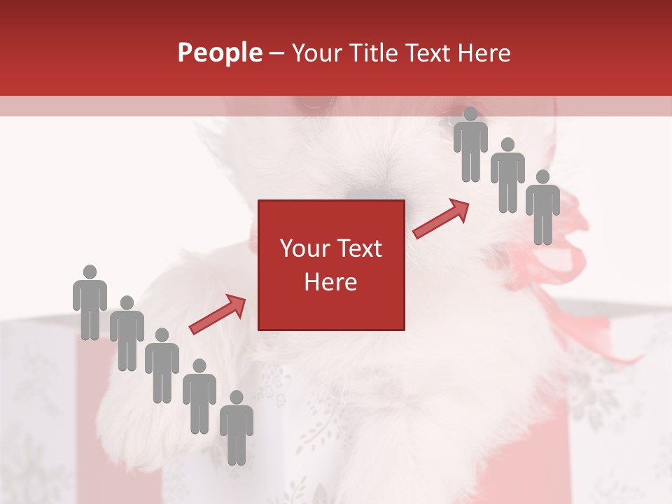 A Small White Dog Sitting Inside Of A Present Box PowerPoint Template