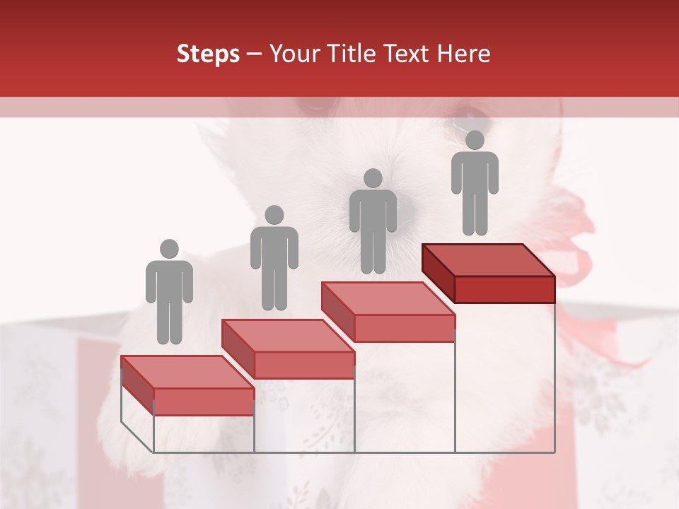 A Small White Dog Sitting Inside Of A Present Box PowerPoint Template