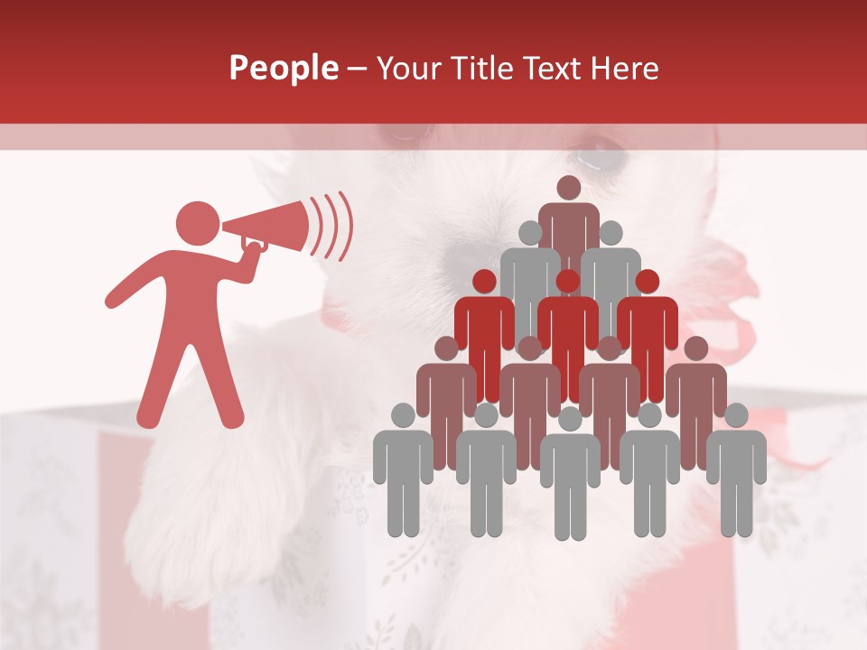 A Small White Dog Sitting Inside Of A Present Box PowerPoint Template