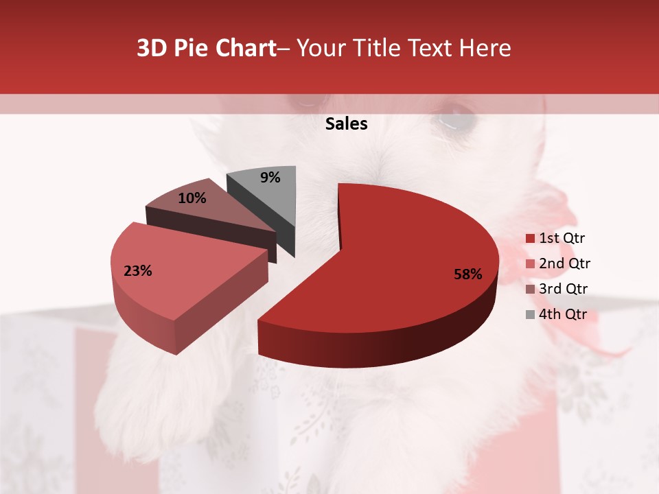A Small White Dog Sitting Inside Of A Present Box PowerPoint Template
