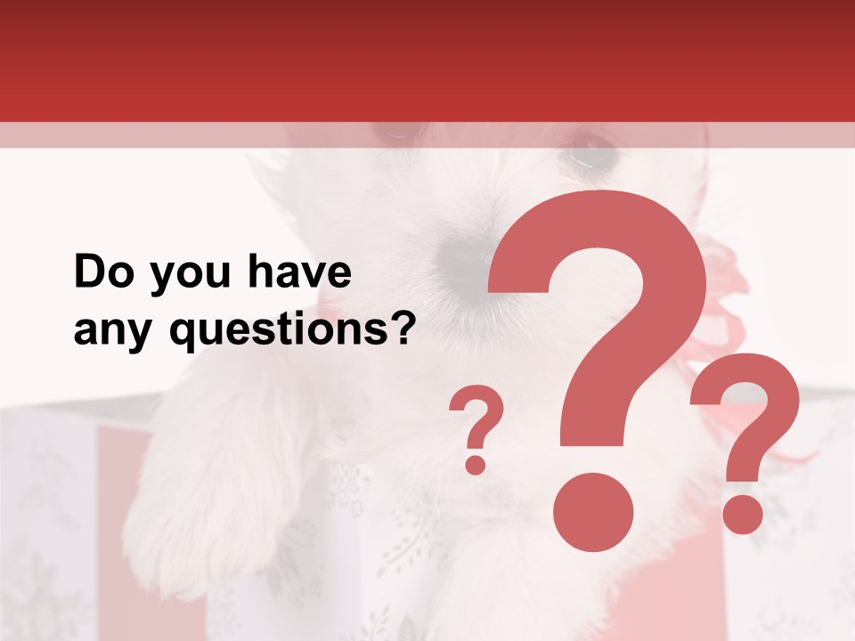 A Small White Dog Sitting Inside Of A Present Box PowerPoint Template