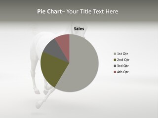 Torso Person Figure PowerPoint Template