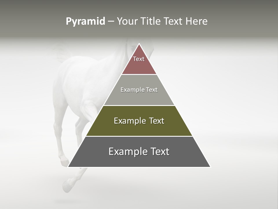 Torso Person Figure PowerPoint Template