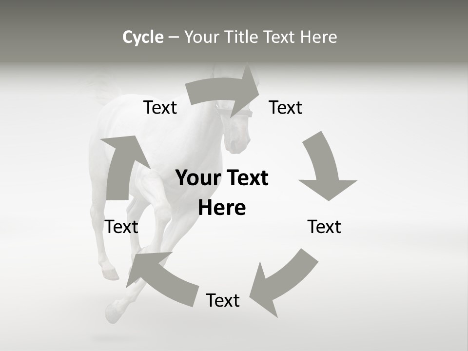 Torso Person Figure PowerPoint Template