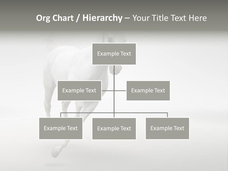 Torso Person Figure PowerPoint Template