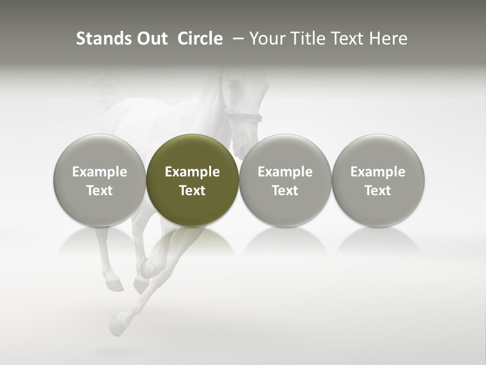 Torso Person Figure PowerPoint Template