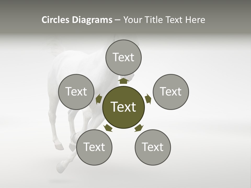 Torso Person Figure PowerPoint Template