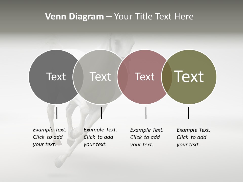 Torso Person Figure PowerPoint Template