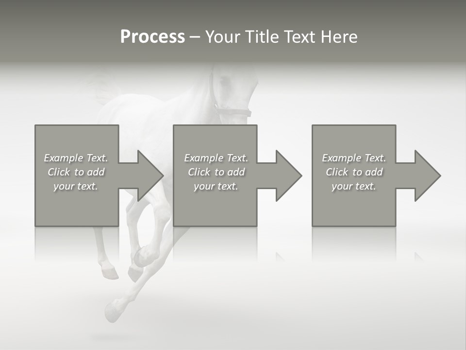 Torso Person Figure PowerPoint Template