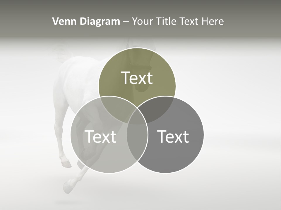 Torso Person Figure PowerPoint Template