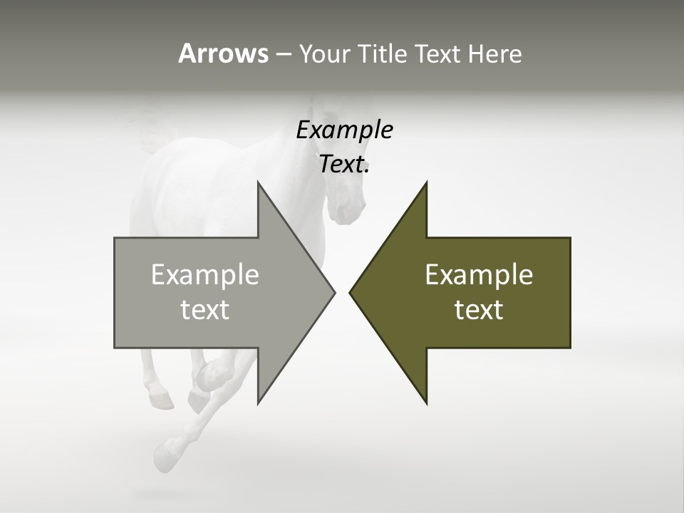 Torso Person Figure PowerPoint Template