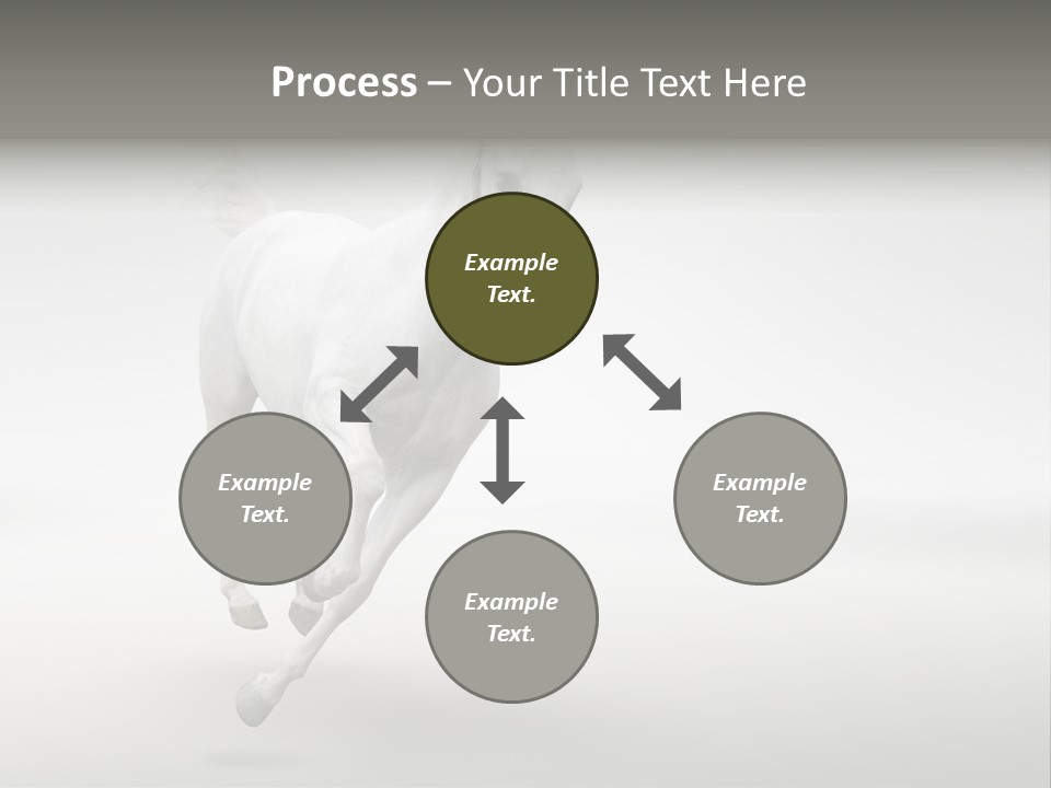 Torso Person Figure PowerPoint Template