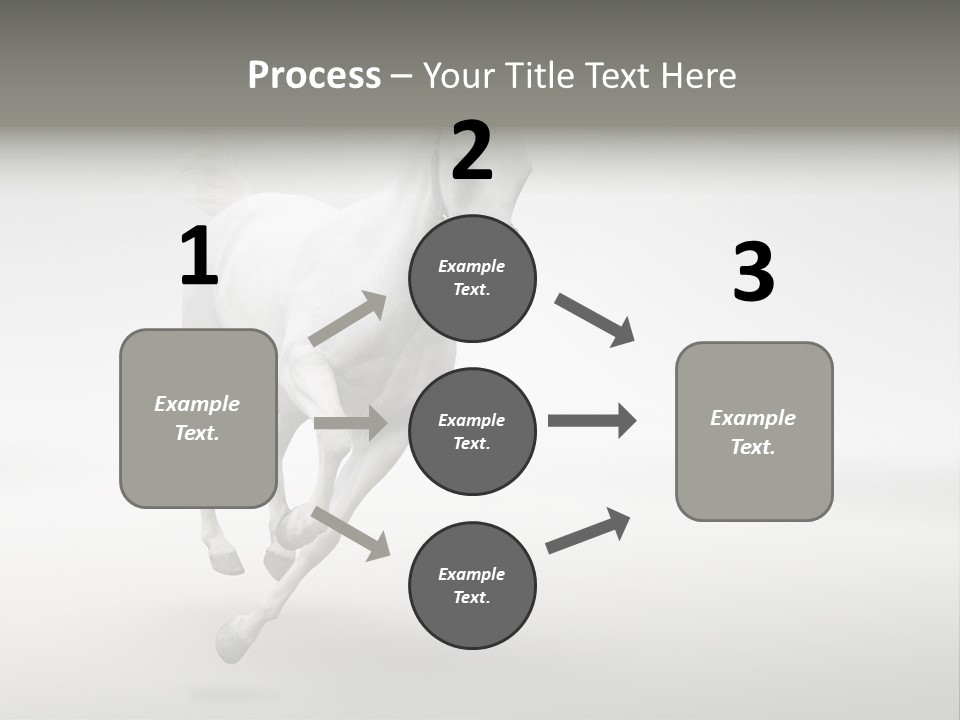 Torso Person Figure PowerPoint Template