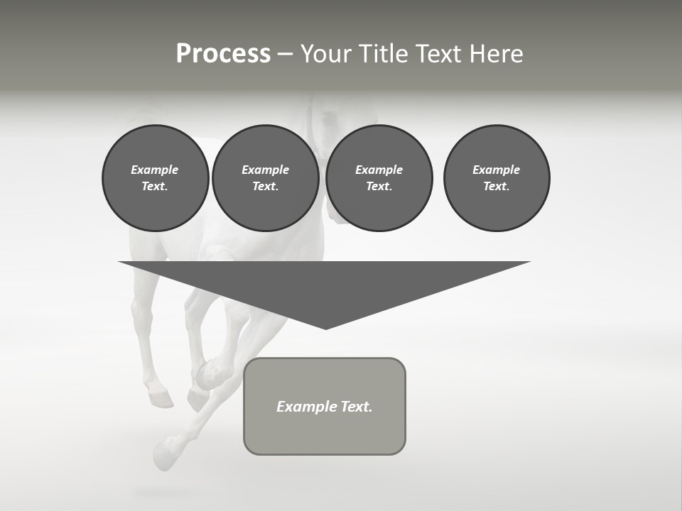 Torso Person Figure PowerPoint Template