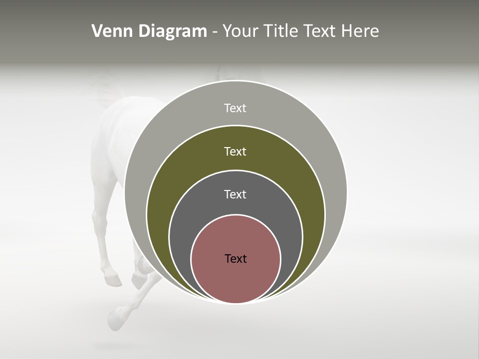Torso Person Figure PowerPoint Template