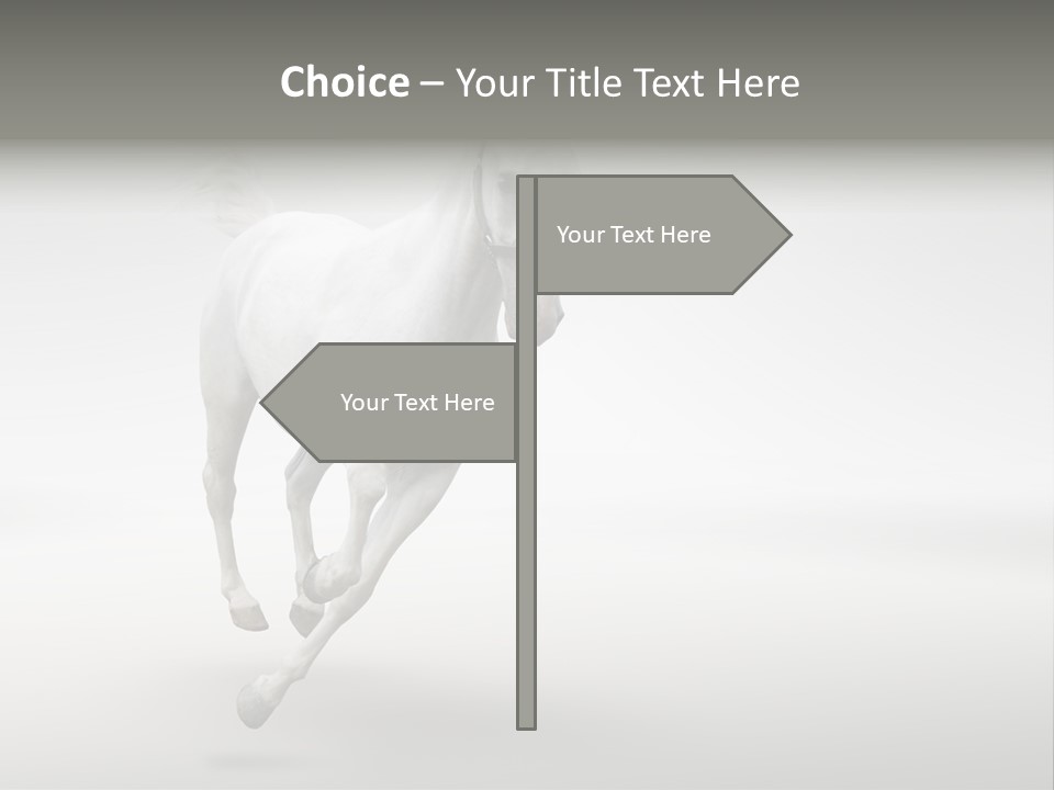 Torso Person Figure PowerPoint Template