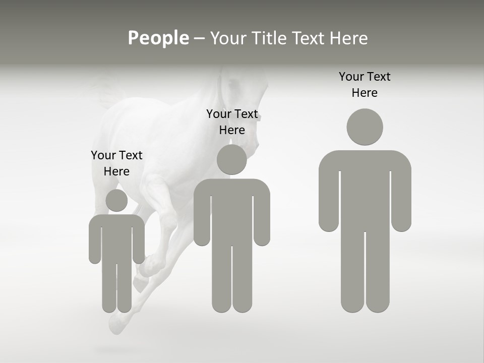 Torso Person Figure PowerPoint Template