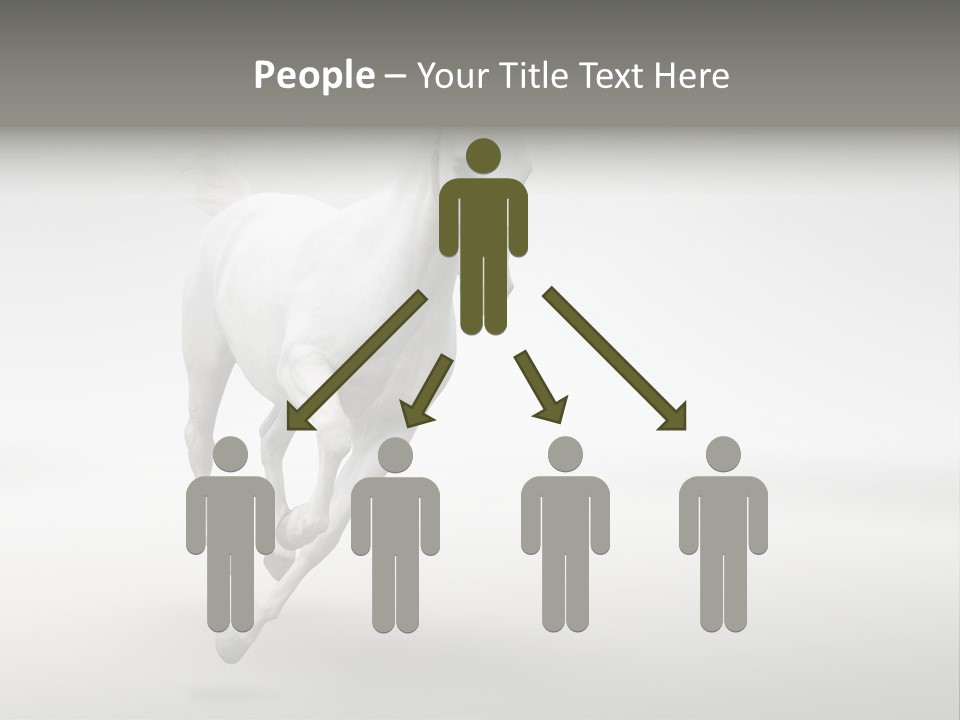 Torso Person Figure PowerPoint Template