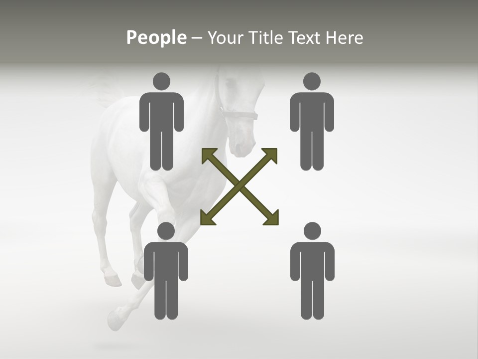 Torso Person Figure PowerPoint Template