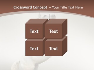 Celebrating Syndrome Holiday PowerPoint Template