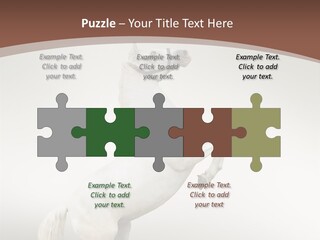 Celebrating Syndrome Holiday PowerPoint Template