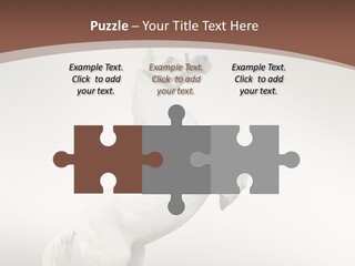 Celebrating Syndrome Holiday PowerPoint Template