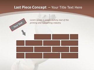 Celebrating Syndrome Holiday PowerPoint Template