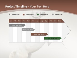 Celebrating Syndrome Holiday PowerPoint Template