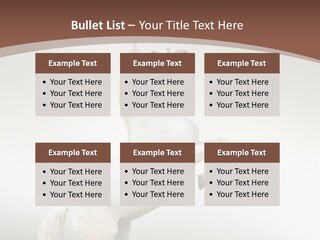 Celebrating Syndrome Holiday PowerPoint Template