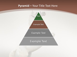 Celebrating Syndrome Holiday PowerPoint Template