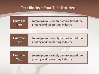 Celebrating Syndrome Holiday PowerPoint Template