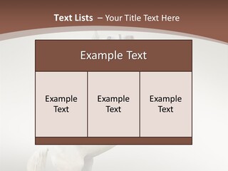 Celebrating Syndrome Holiday PowerPoint Template