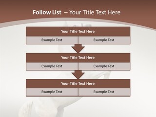 Celebrating Syndrome Holiday PowerPoint Template