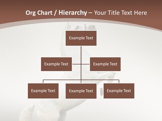 Celebrating Syndrome Holiday PowerPoint Template