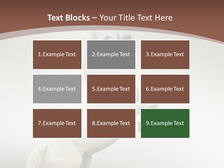 Celebrating Syndrome Holiday PowerPoint Template