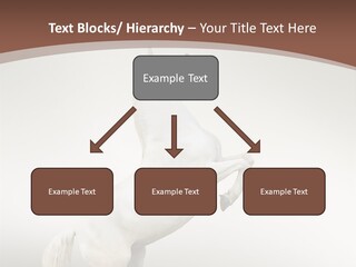 Celebrating Syndrome Holiday PowerPoint Template
