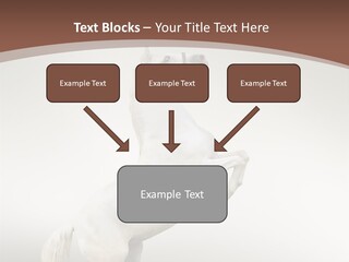 Celebrating Syndrome Holiday PowerPoint Template