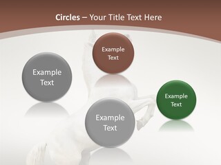 Celebrating Syndrome Holiday PowerPoint Template