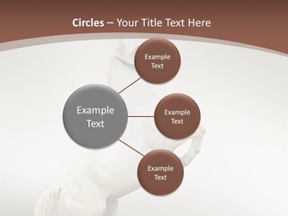 Celebrating Syndrome Holiday PowerPoint Template