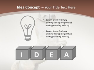 Celebrating Syndrome Holiday PowerPoint Template