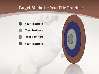 Celebrating Syndrome Holiday PowerPoint Template