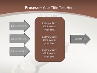 Celebrating Syndrome Holiday PowerPoint Template